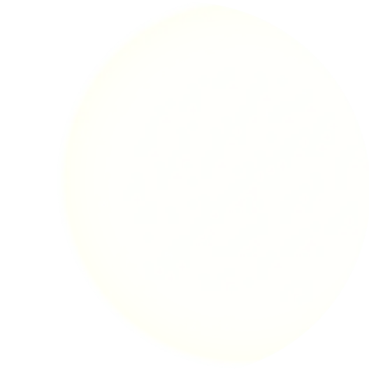 vector